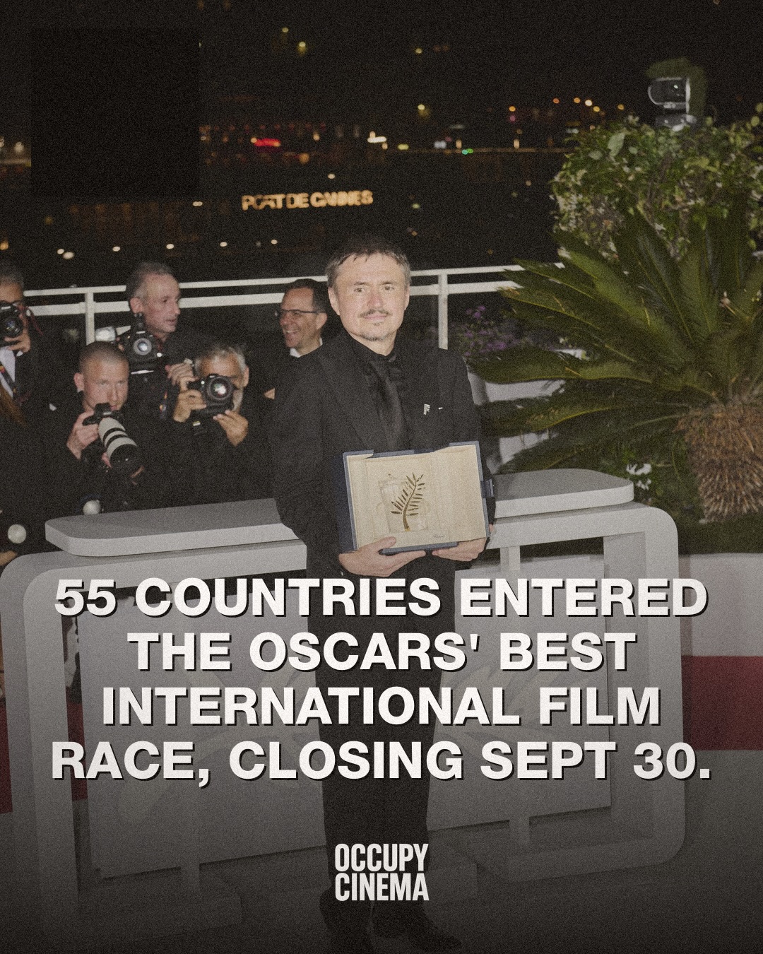 The Autumn Scramble: Inside the Battle for Oscar International Feature Submissions
