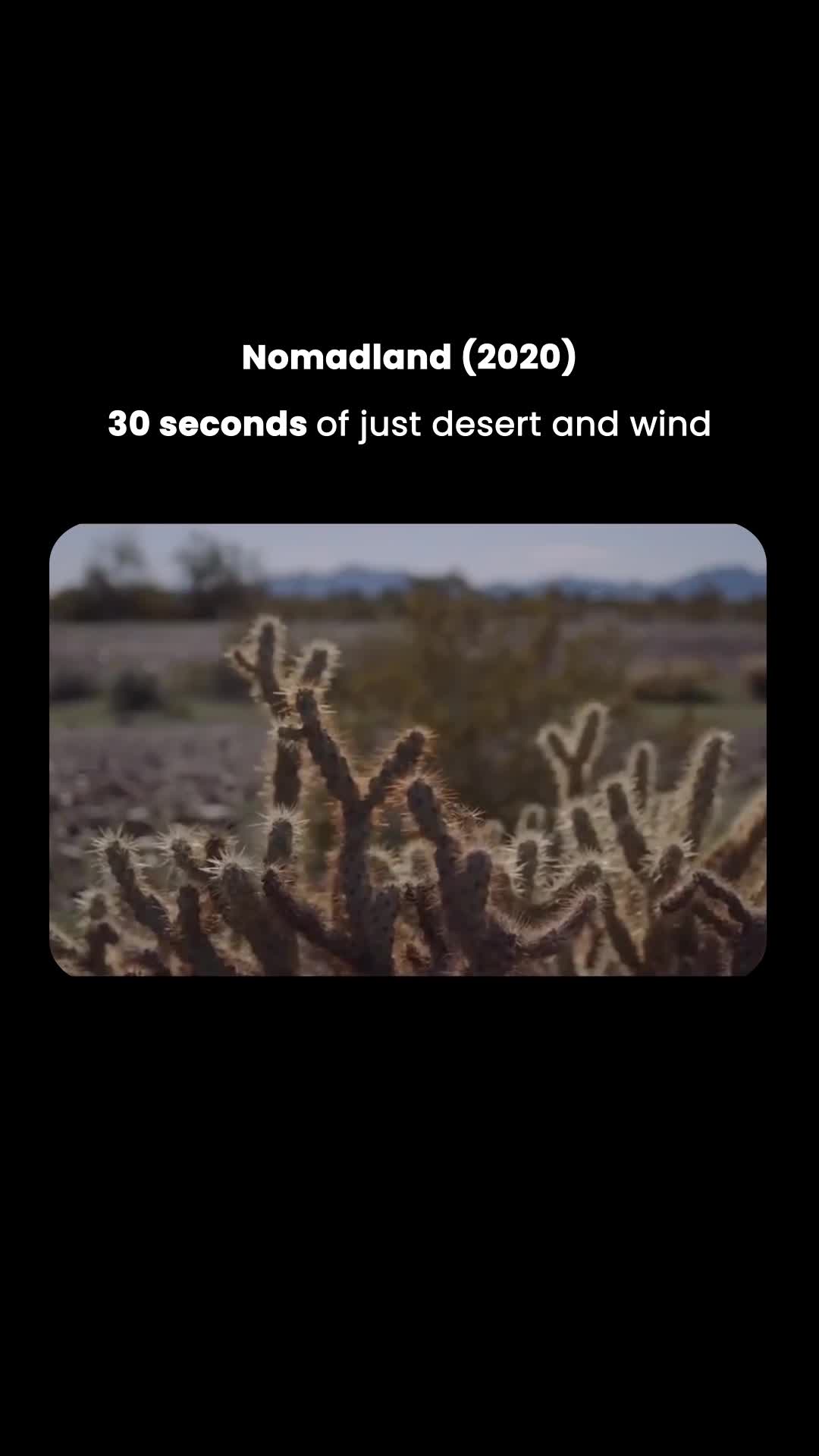 The $5 Million Blueprint: How Chloé Zhao Built Nomadland Into an Oscars Powerhouse