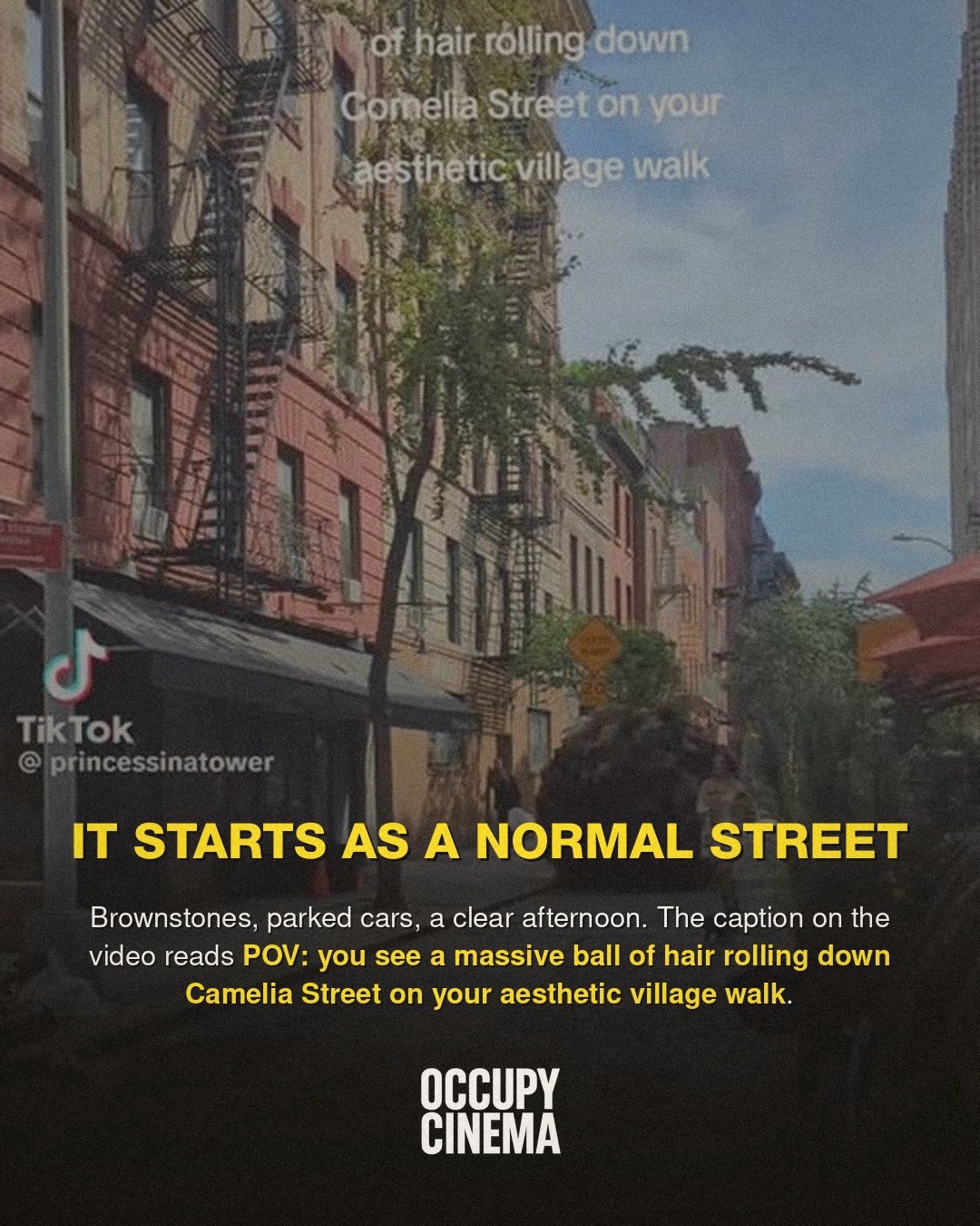 Why a Viral Hairball in Brooklyn Outclasses Studio Visual Effects, image 2 of 7