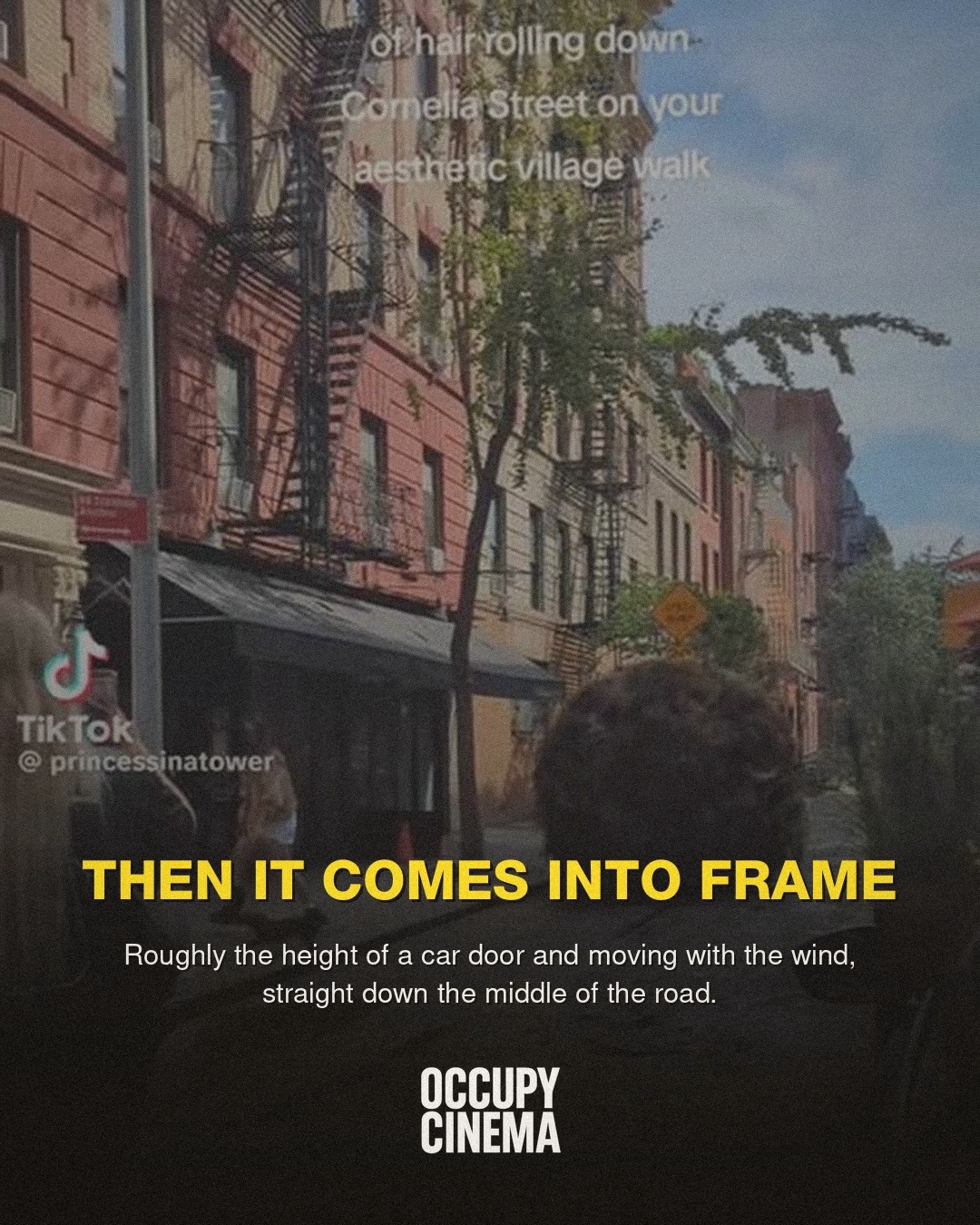Why a Viral Hairball in Brooklyn Outclasses Studio Visual Effects, image 3 of 7