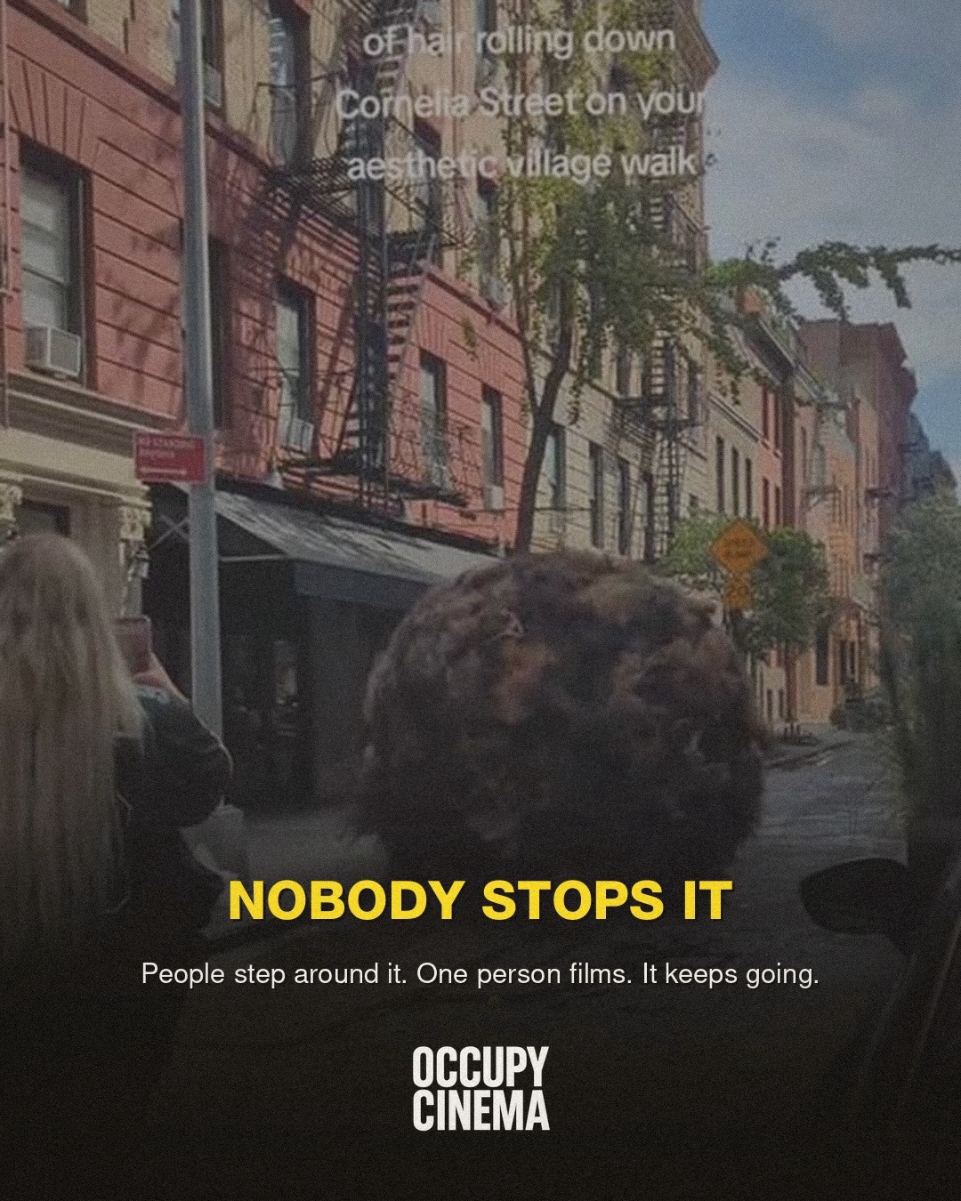 Why a Viral Hairball in Brooklyn Outclasses Studio Visual Effects, image 4 of 7