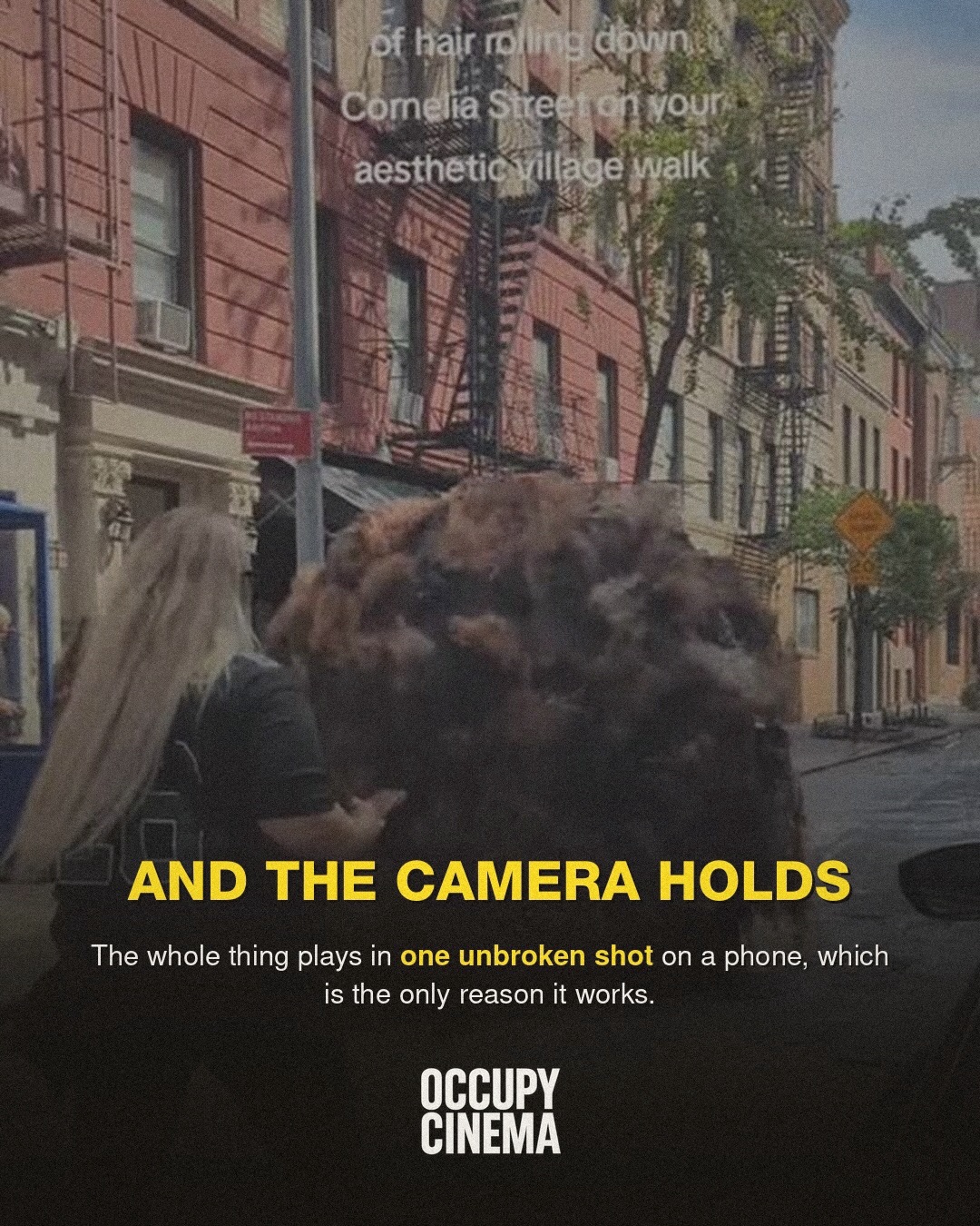 Why a Viral Hairball in Brooklyn Outclasses Studio Visual Effects, image 5 of 7