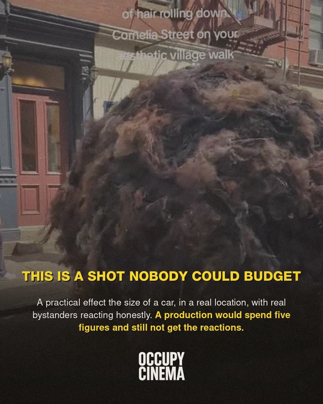 Why a Viral Hairball in Brooklyn Outclasses Studio Visual Effects, image 6 of 7