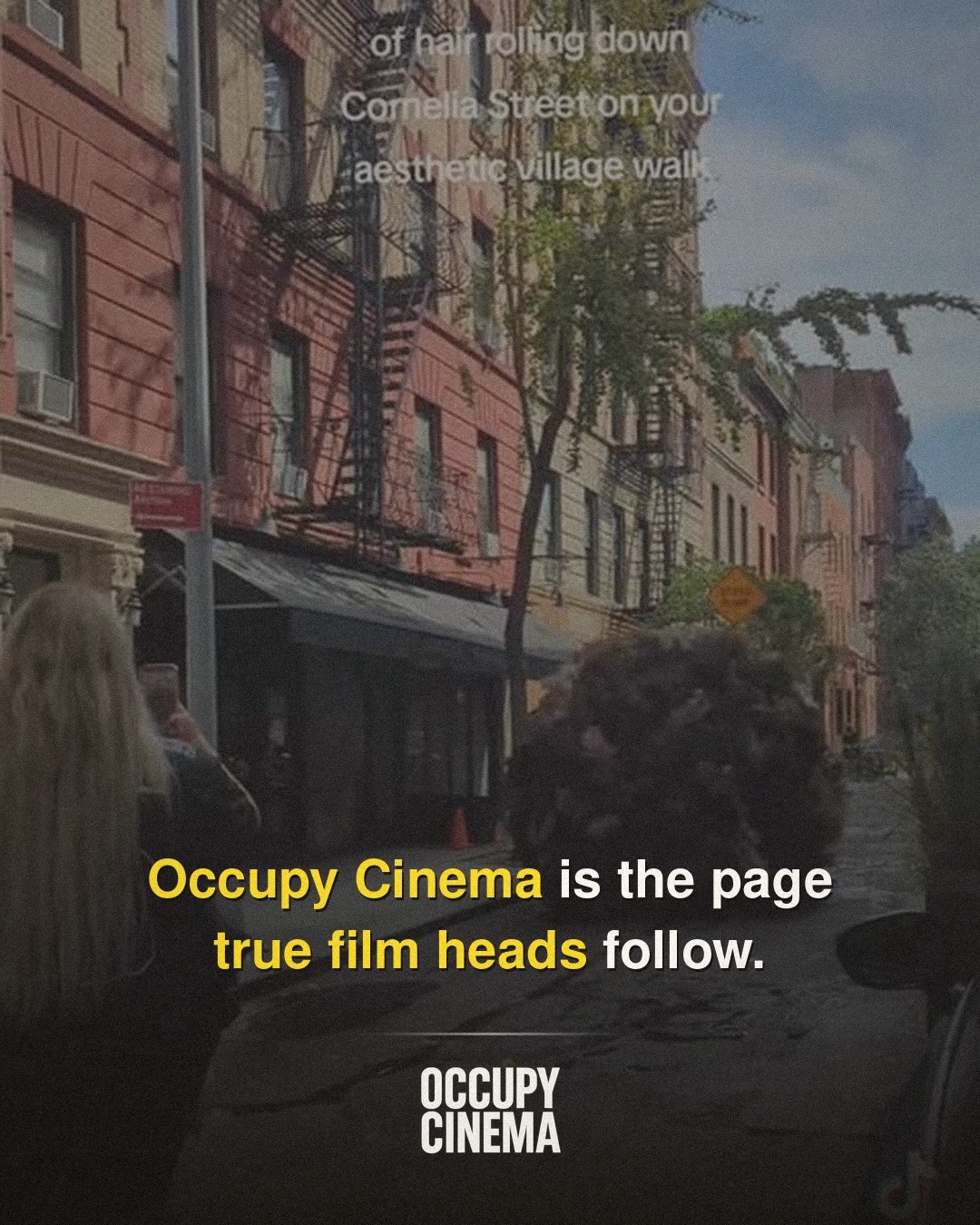 Why a Viral Hairball in Brooklyn Outclasses Studio Visual Effects, image 7 of 7