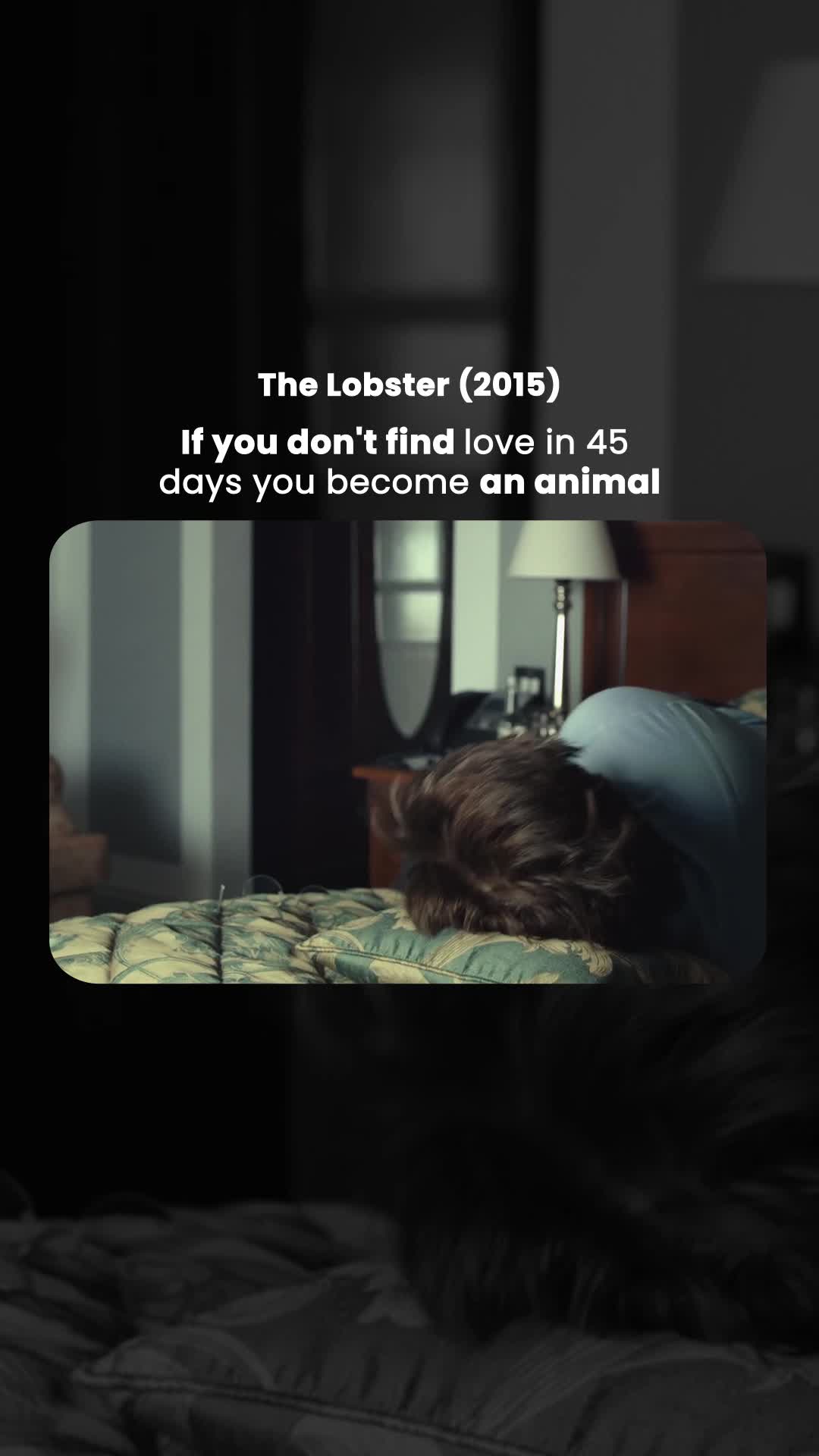 Why The Lobster Remains the Gold Standard for Modern Absurdist Cinema