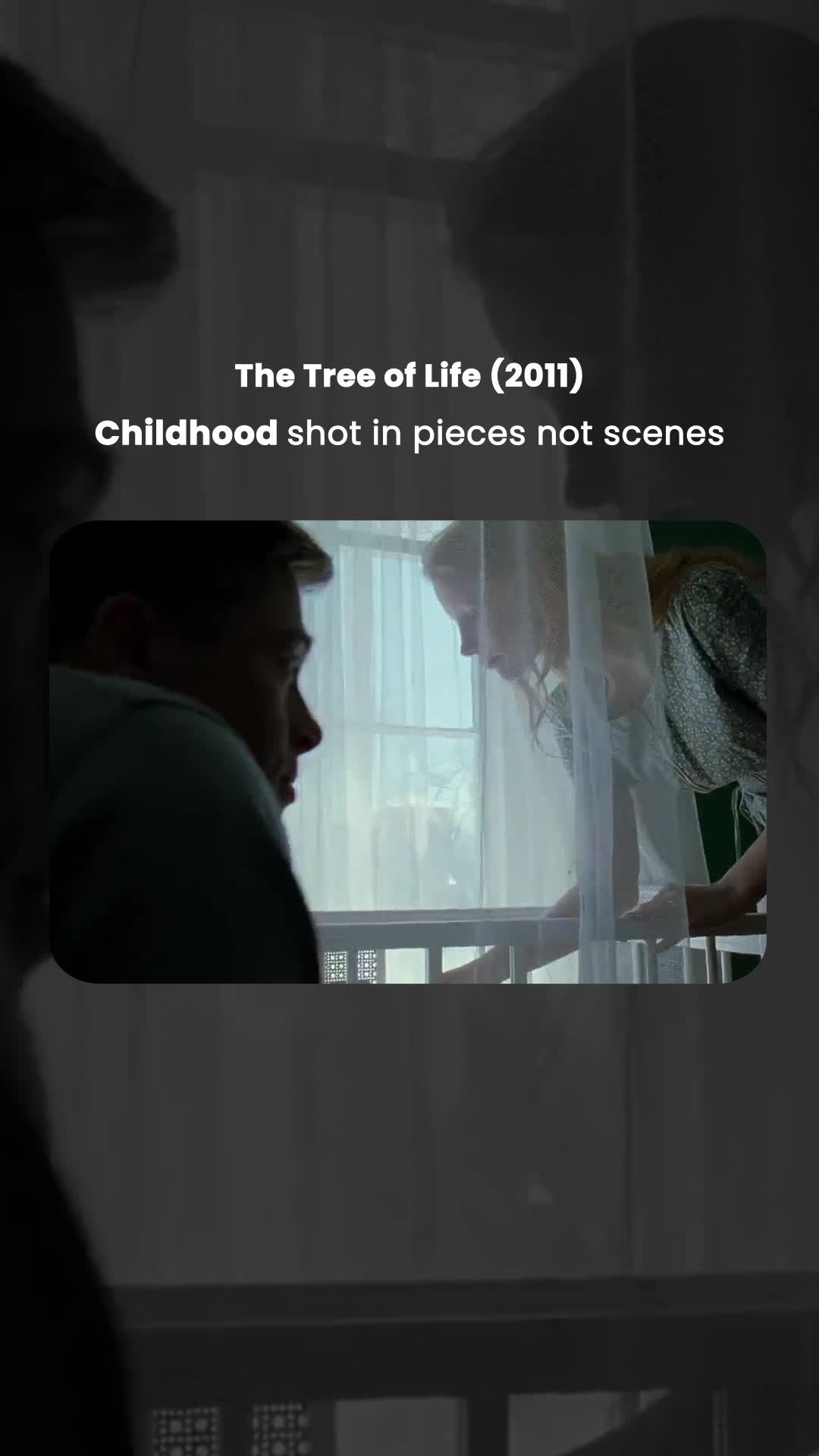 Light, Chemicals, and Pure Instinct: How Terrence Malick Rewrote Cinema with The Tree of Life