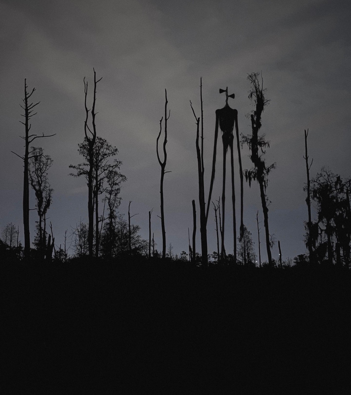 Warner Bros. Secures Rights to Viral Horror Icon Siren Head in Competitive Bid, image 2 of 2